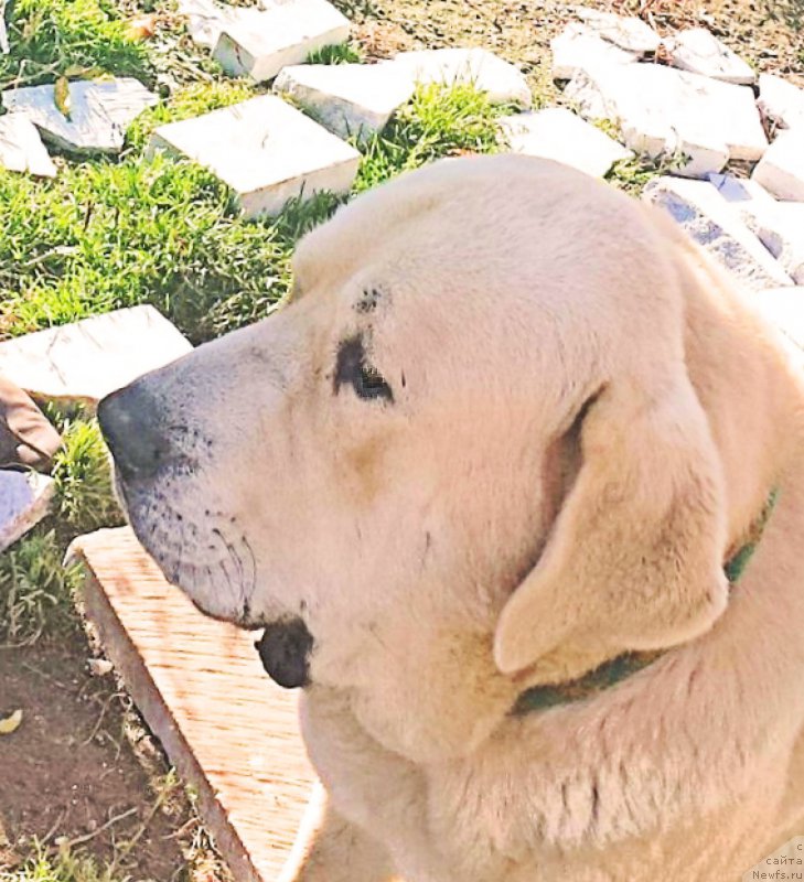 Фото: Lena Zyirina (Лена Зырина)