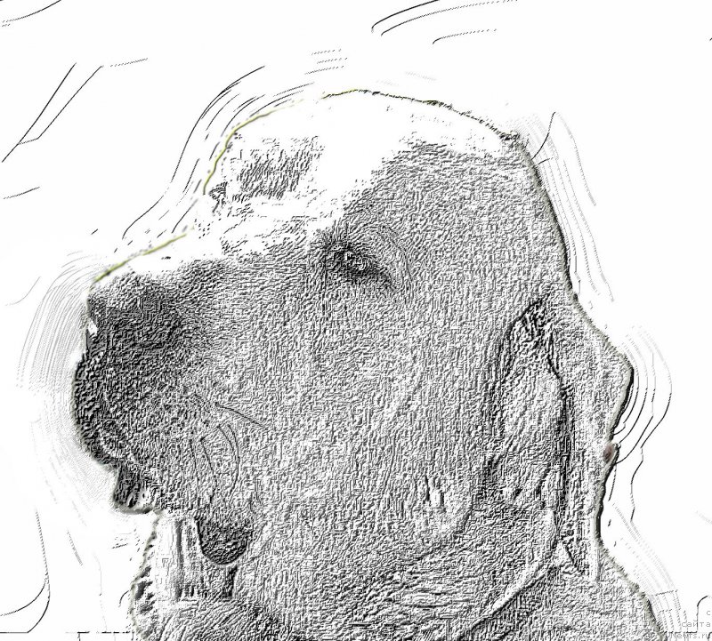 Фото: Lena Zyirina (Лена Зырина)