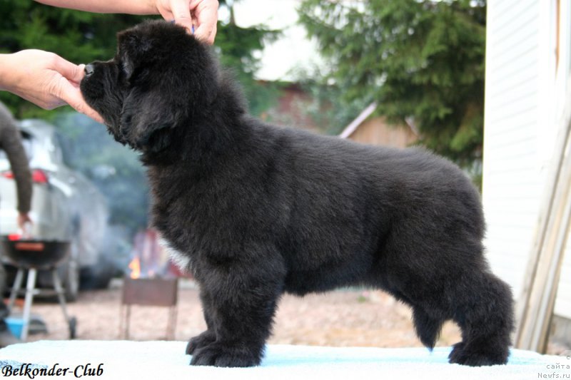 Фотография № 192752