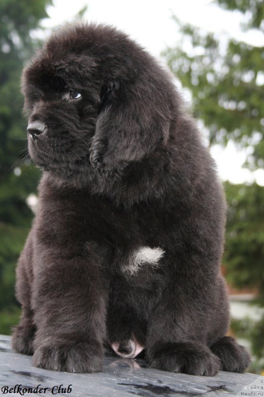 Фотография № 192760