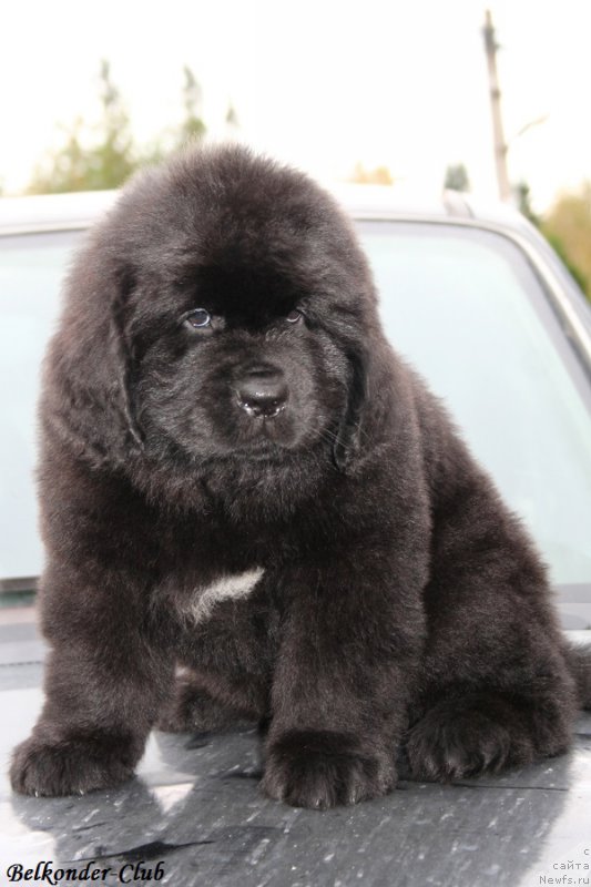 Фотография № 192763