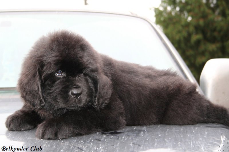 Фотография № 192766