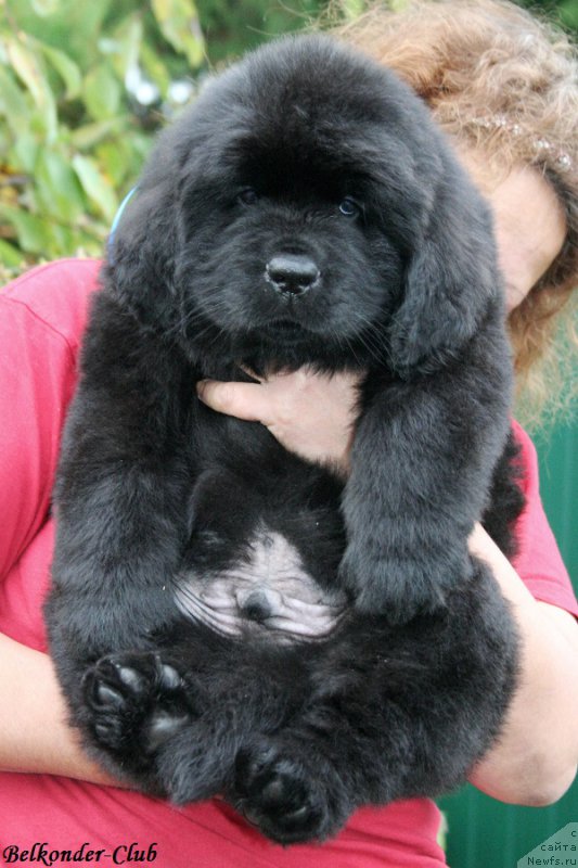 Фотография № 192772