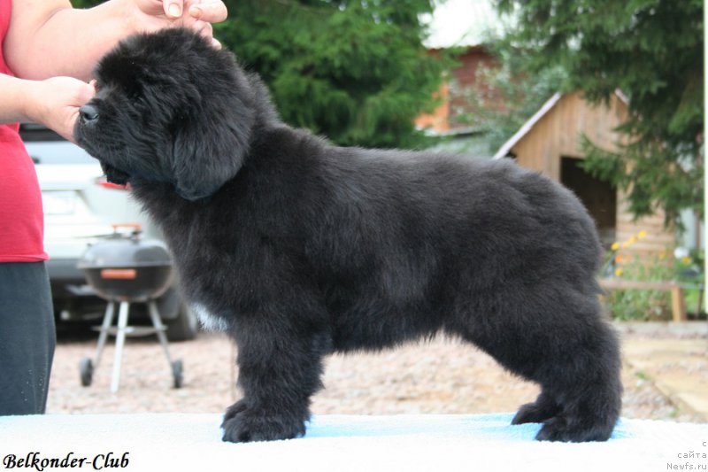 Фотография № 192773