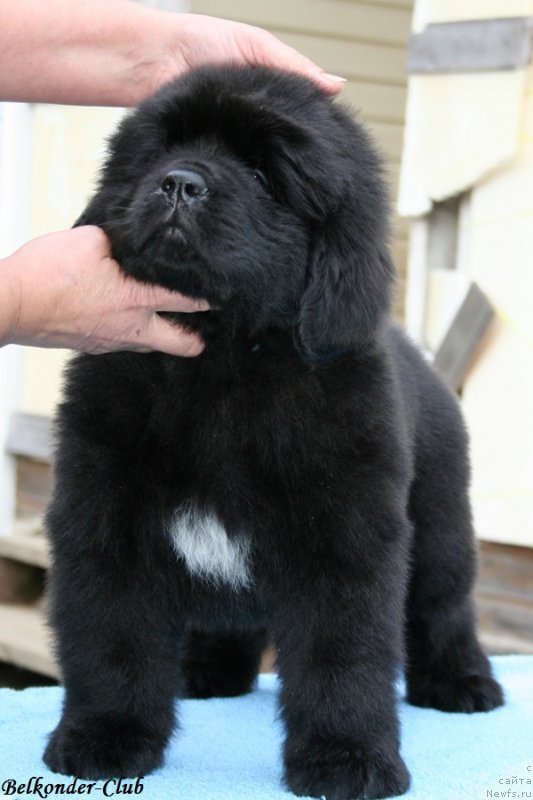 Фотография № 192776