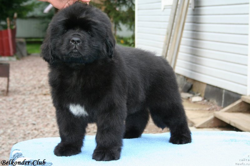 Фотография № 192777