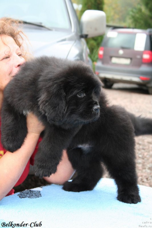 Фотография № 192781