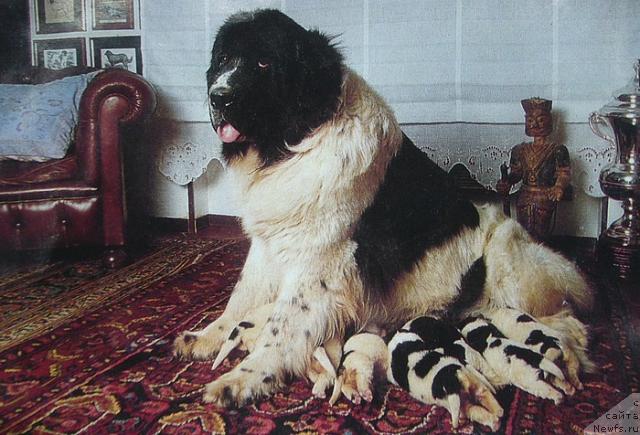 Фото: Просто красивая картинка!!!