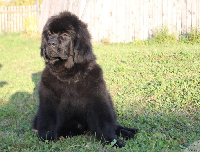 Фото: Natal'ya Smazchikova (Наталья Смазчикова)