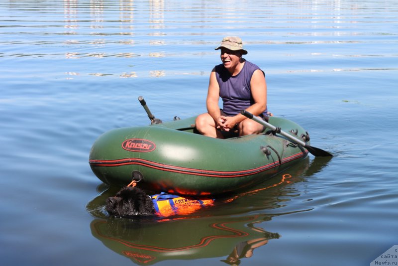 Фото: Aleksandr Burmistrov (Александр Бурмистров), ньюфаундленд Beguschaya po Volnam Foget Mi Not (Бегущая по Волнам Фогет Ми Нот)