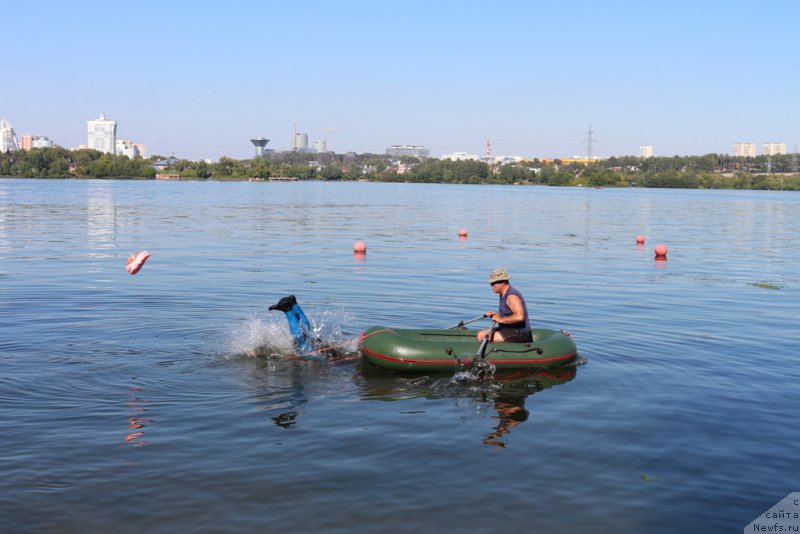 Фотография № 192840