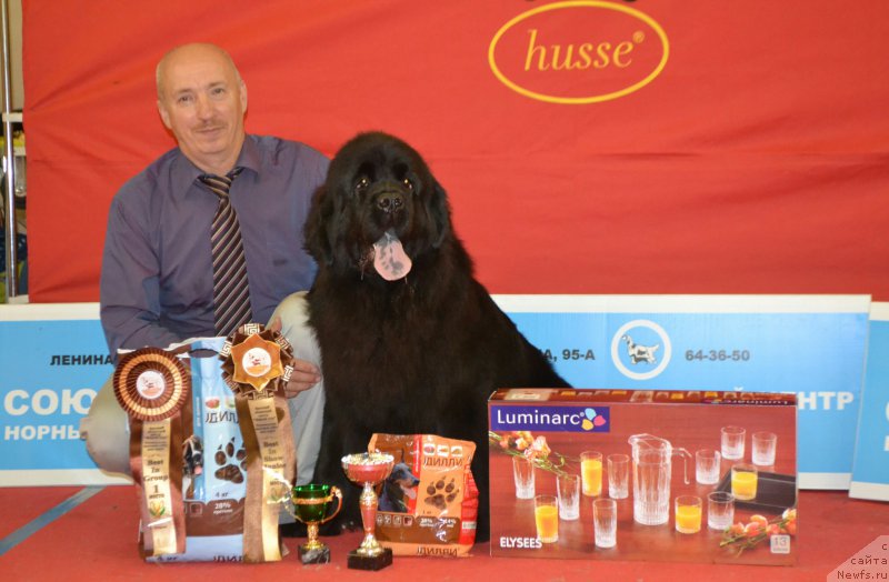 Фото: ньюфаундленд Mnogolikaya Boginya Manifik (Многоликая Богиня Манифик), Aleksey Votchal (Алексей Вотчал)