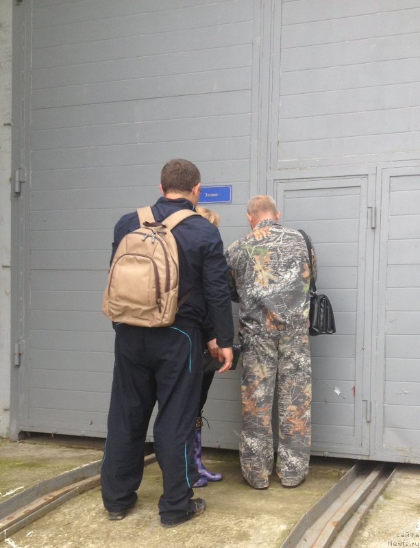 Фотография № 192849