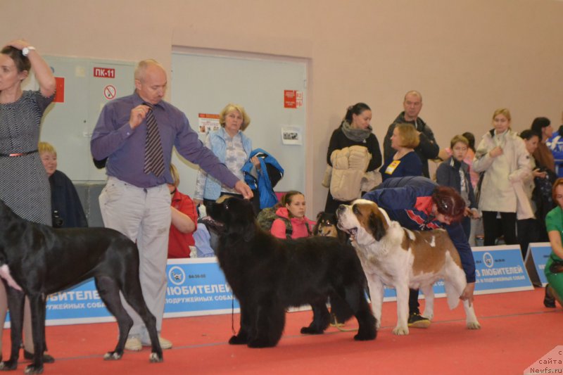 Фотография № 192858