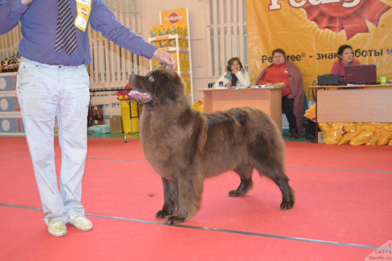 Фотография № 192860