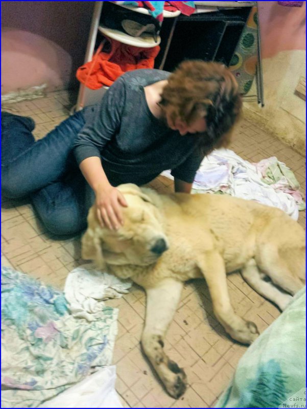 Фото: Lena Zyirina (Лена Зырина)