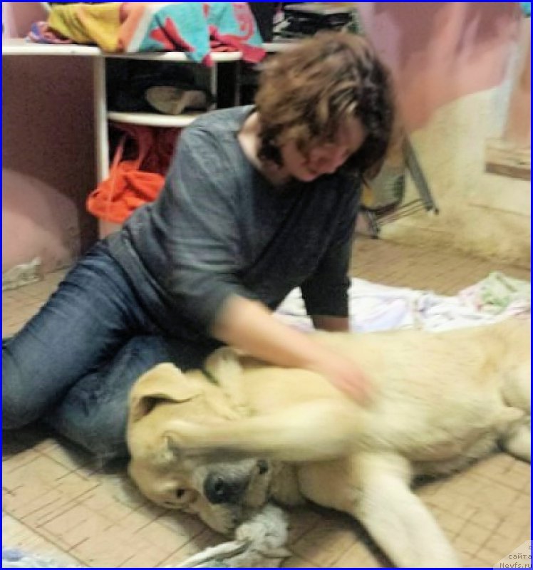 Фотография № 192865