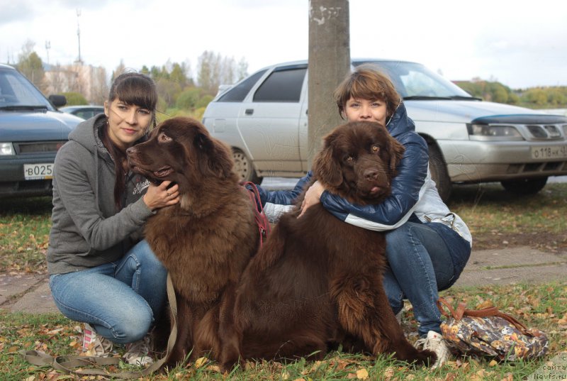 Фото: ньюфаундленд Sverkayuzhaya Gora Mashame (Сверкающая Гора Машаме), Zarina Lubkova (Зарина Лубкова), ньюфаундленд Naomi Tagoliri for Brouwnblood (Наоми Таголири фор Браунблад), Tat'yana Juravleva (Татьяна Журавлева)