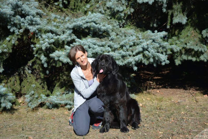 Фотография № 192888