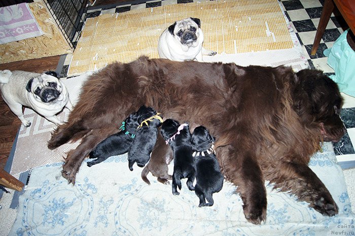 Фотография № 192907