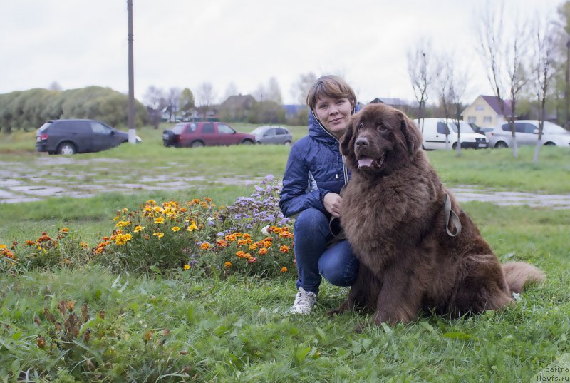 Фотография № 192911