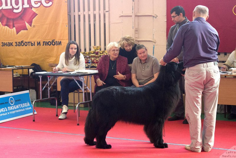 Фотография № 192941