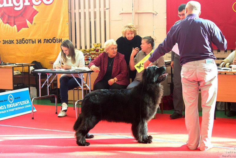 Фотография № 192942