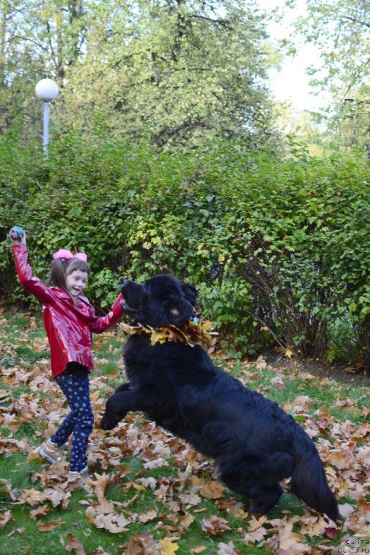 Фотография № 192950