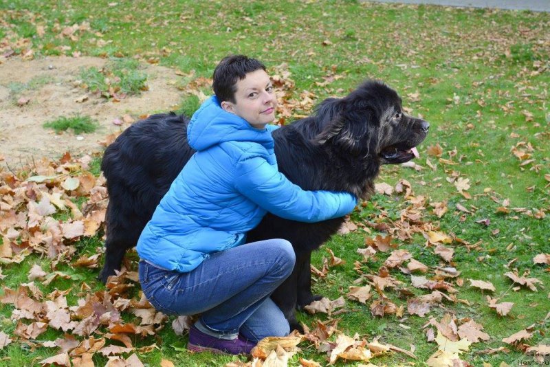 Фотография № 192953