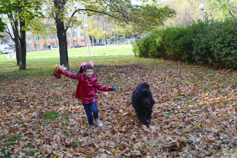 Фотография № 192956