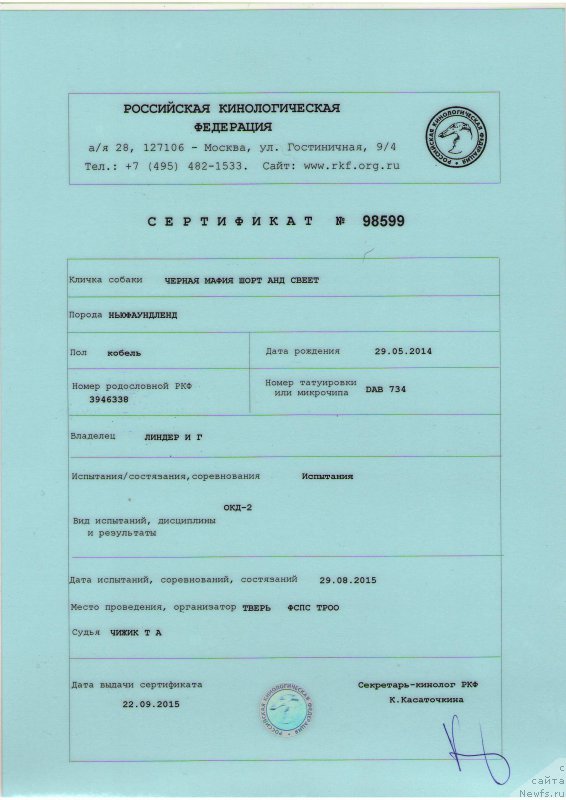 Фотография № 192996