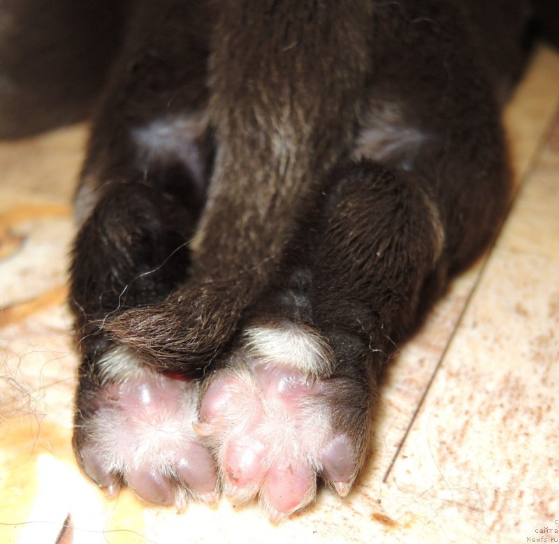 Фотография № 193025