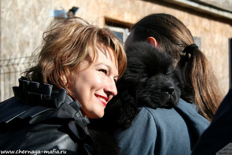 Фото: ньюфаундленд Chernaya Mafia Attractive Power (Черная Мафия Аттрактиве Повер)