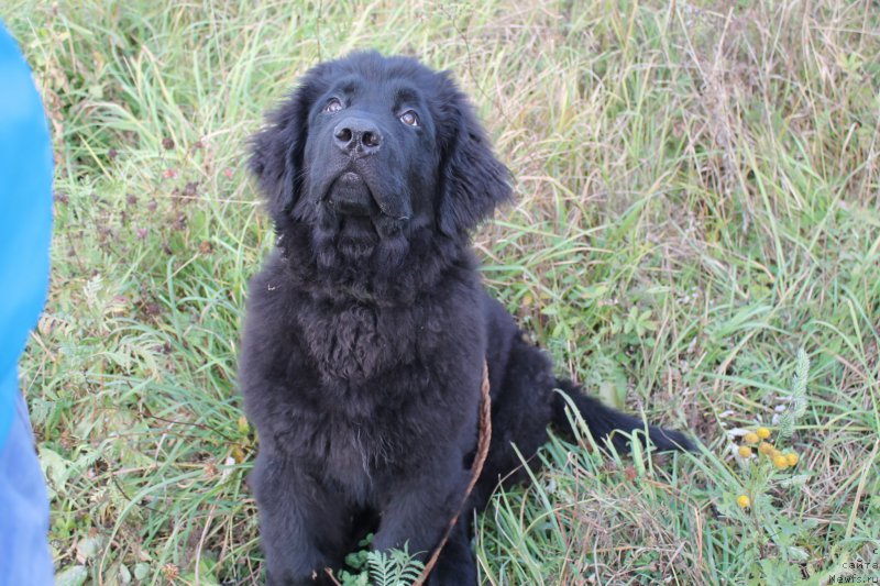 Фото: Потомственный спасатель