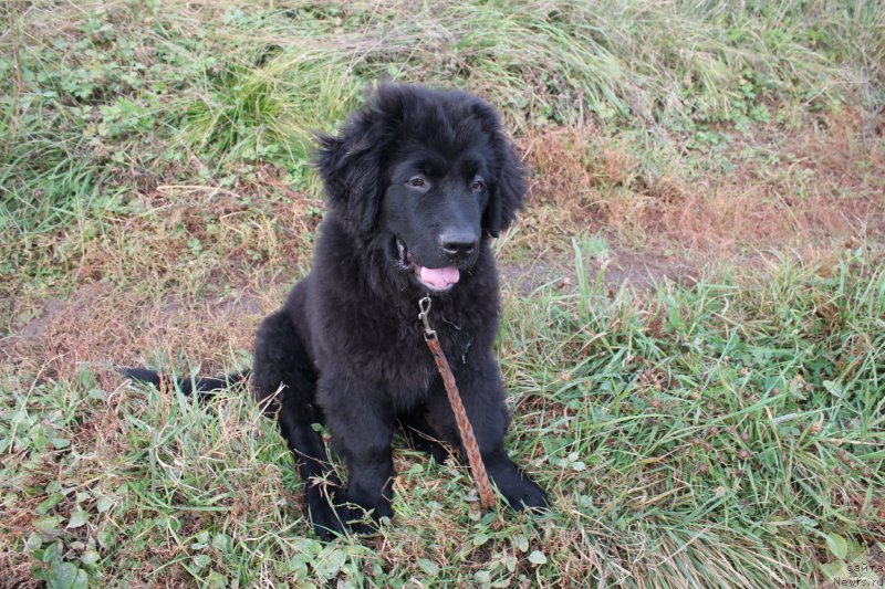 Фото: Потомственный спасатель