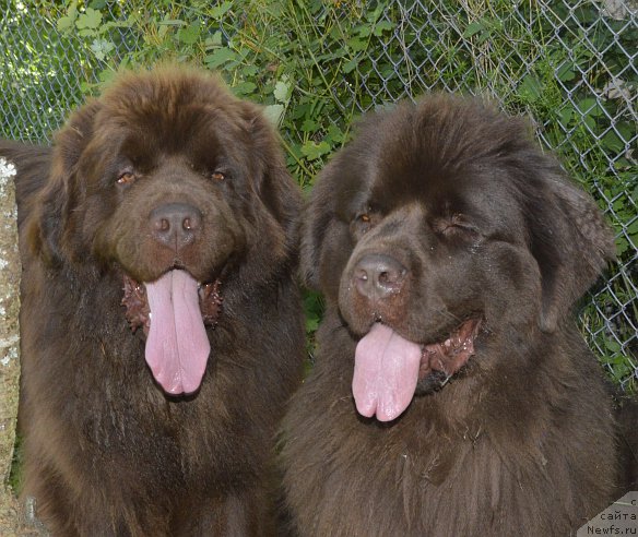 Фотография № 193069