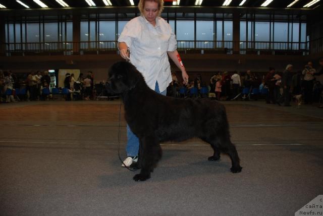 Фотография № 19307