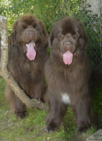 Фотография № 193070