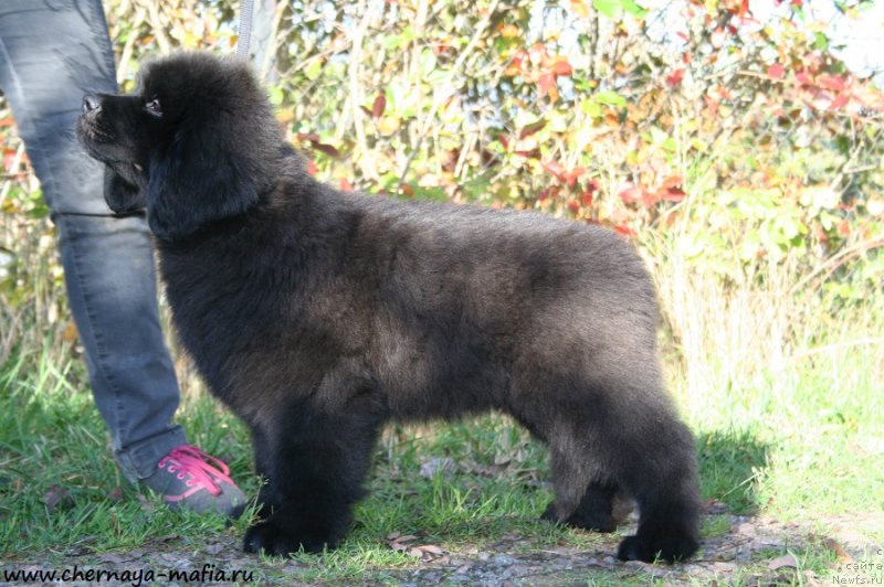 Фотография № 193094