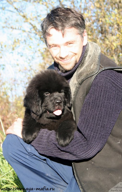 Фотография № 193103