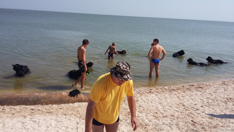 Фотография № 193111