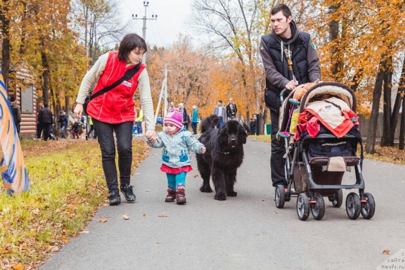 Фото: ньюфаундленд Ih Visochestvo Viola Zhanmonika (Их Высочество Виола Жанмоника), Lyudmila Kudryavceva (Людмила Кудрявцева), Юра, Машенька, Светочка