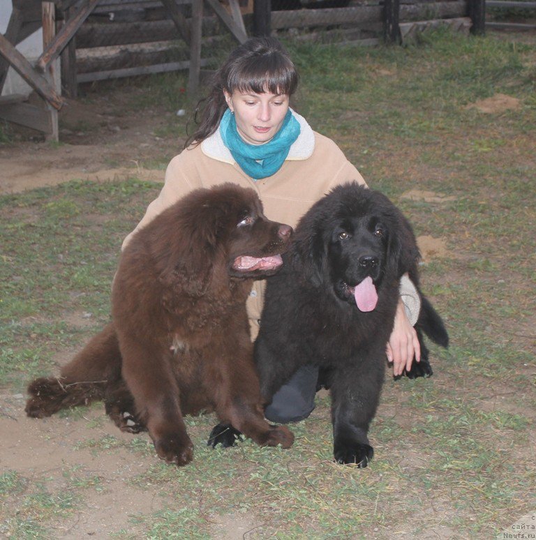 Фотография № 193176