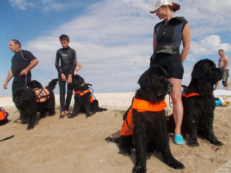 Фотография № 193185