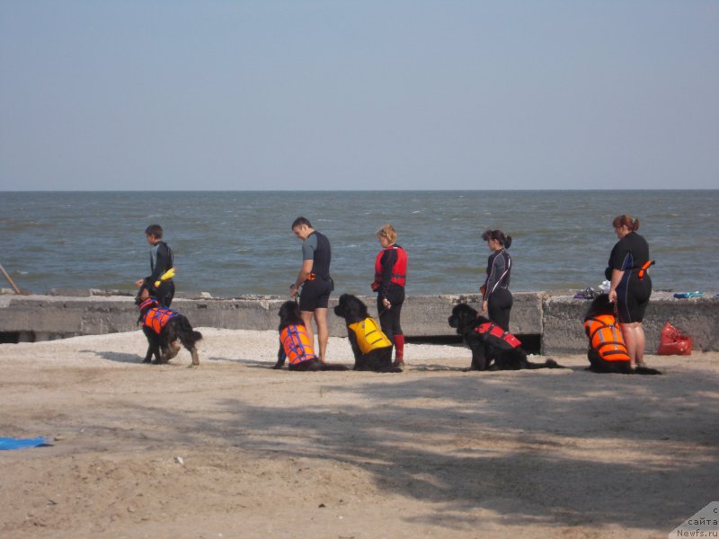 Фото: [d13074]и компания