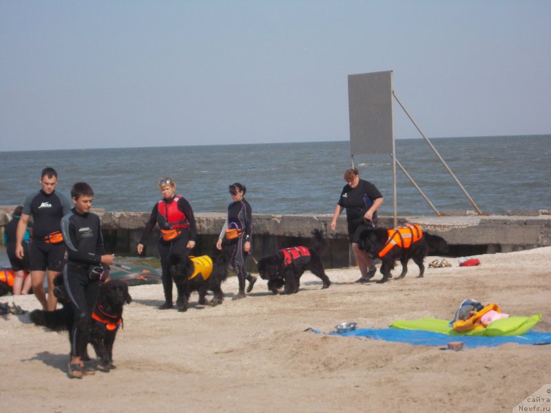 Фотография № 193188