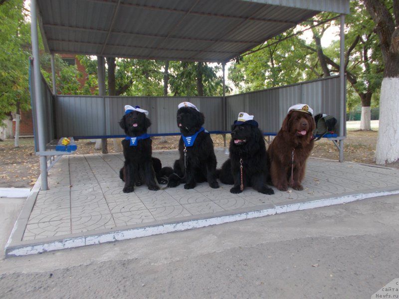 Фотография № 193189