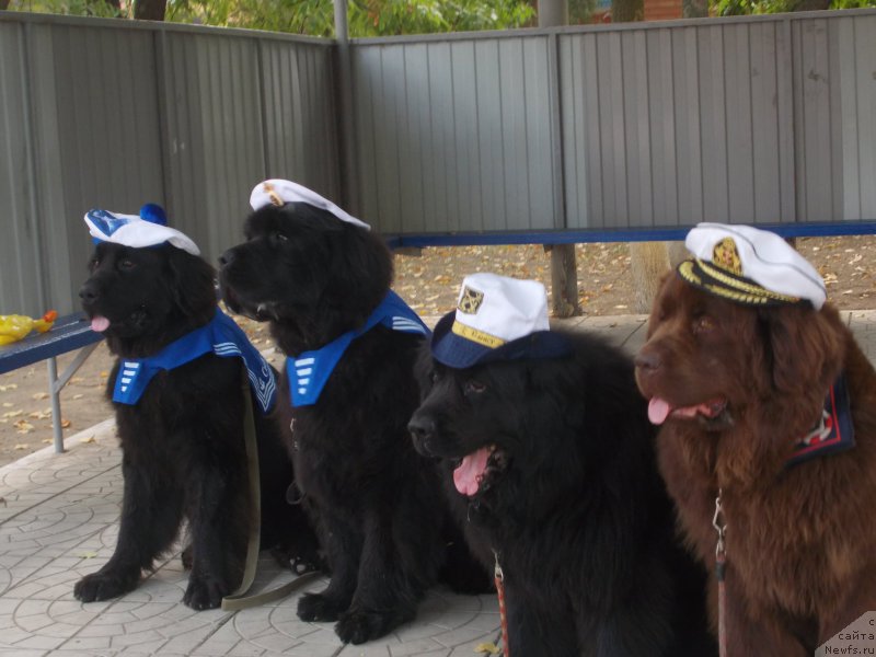 Фотография № 193190