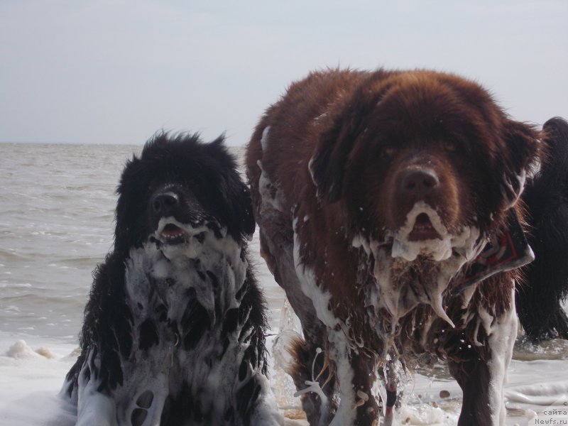 Фото: Мася и Урса