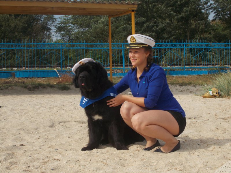 Фотография № 193201